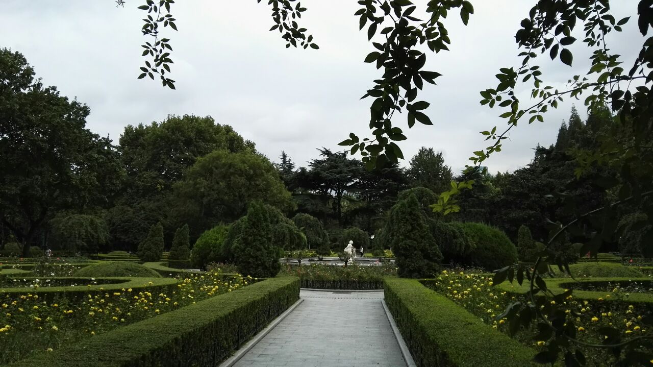 2019復興公園_旅遊攻略_門票_地址_遊記點評,上海旅遊景點推薦 - 去