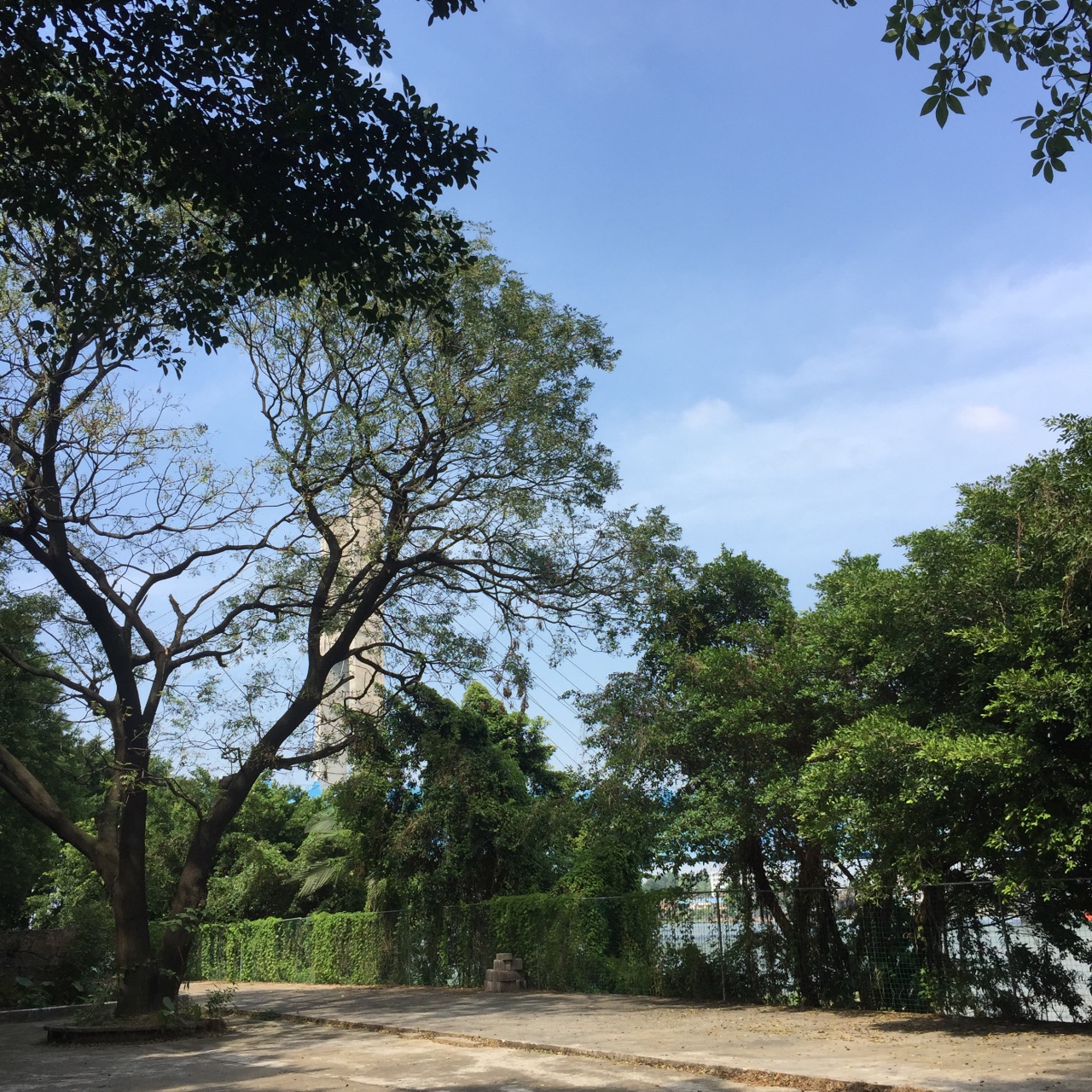 佛山南海大湿地公园好玩吗,佛山南海大湿地公园景点怎么样_点评_评价