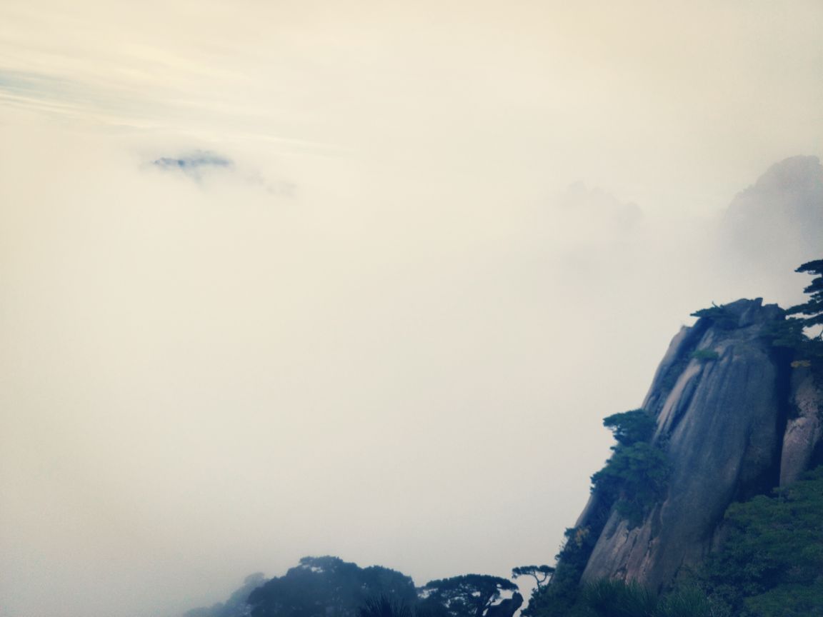 2019天都峰_旅游攻略_门票_地址_游记点评,黄山区旅游景点推荐 去