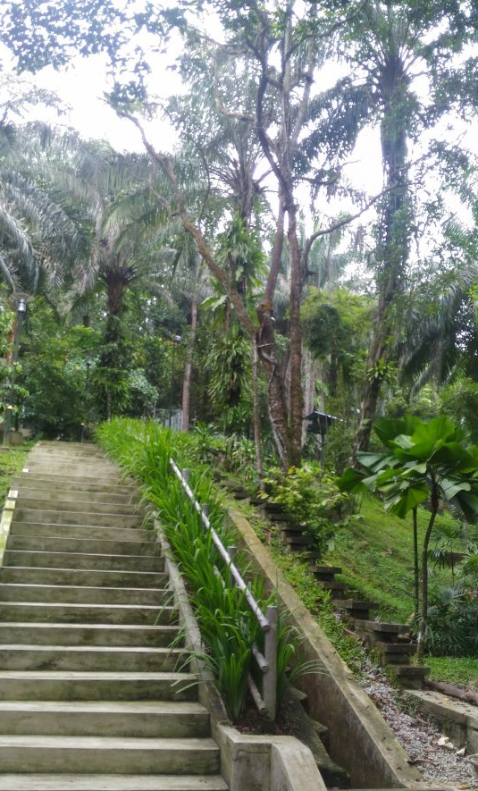 【携程攻略】吉隆坡鹿园适合朋友出游旅游吗,鹿园朋友出游景点推荐