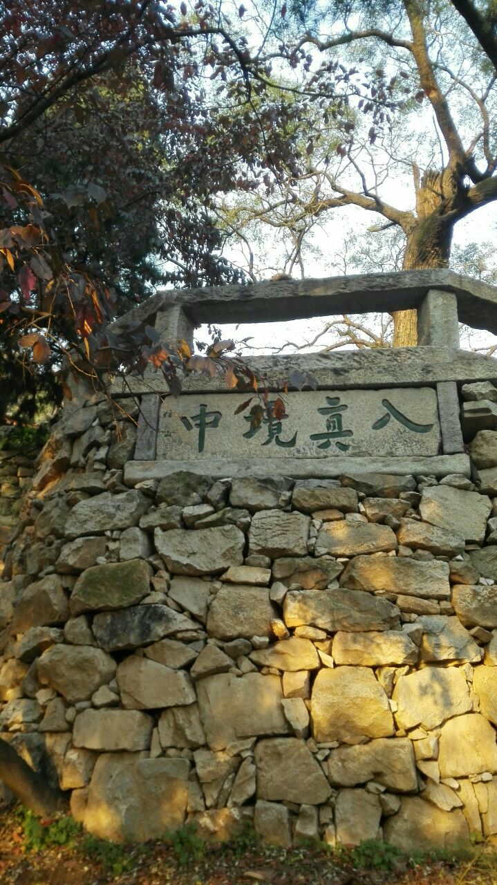 大垌山净业寺旅游景点图片
