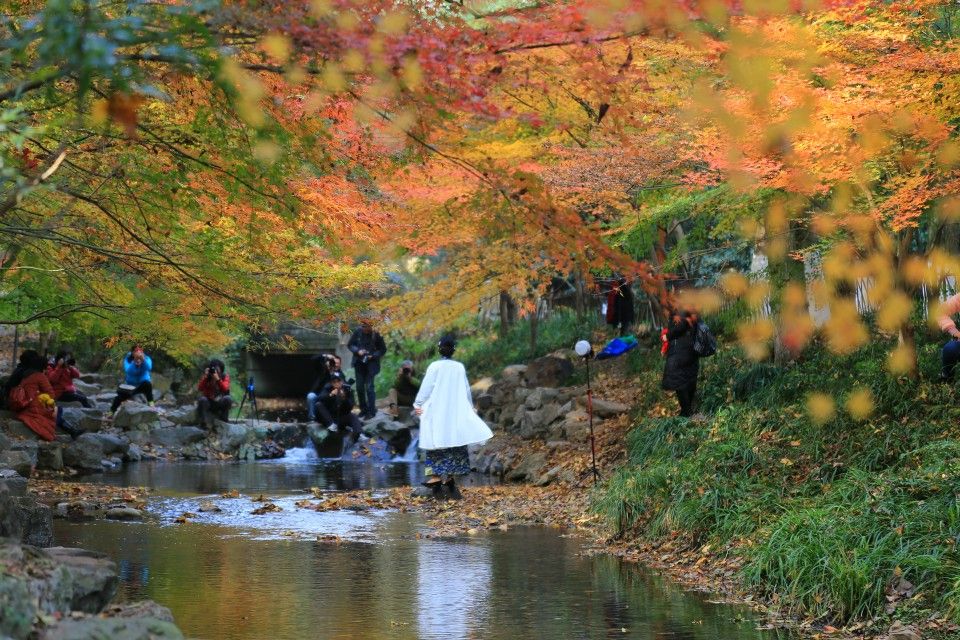 12月8日我選擇了龍井村附近的九溪路,雖然沒有走完九溪十八澗全程