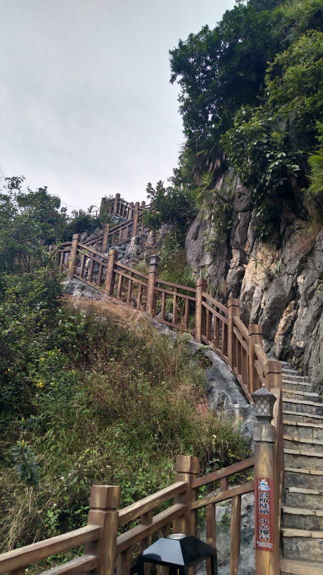 2019花花大世界_旅游攻略_门票_地址_游记点评,武鸣旅游景点推荐 - 去