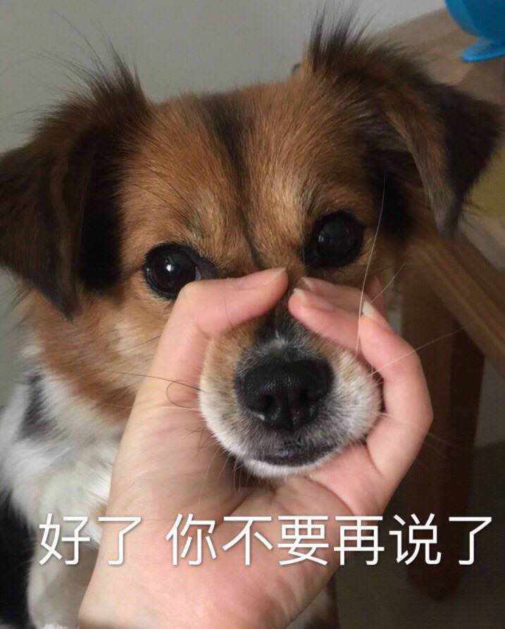 好了你不要说了表情包图片