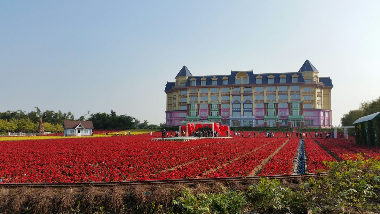 2019百万葵园_旅游攻略_门票_地址_游记点评,广州旅游景点推荐 去