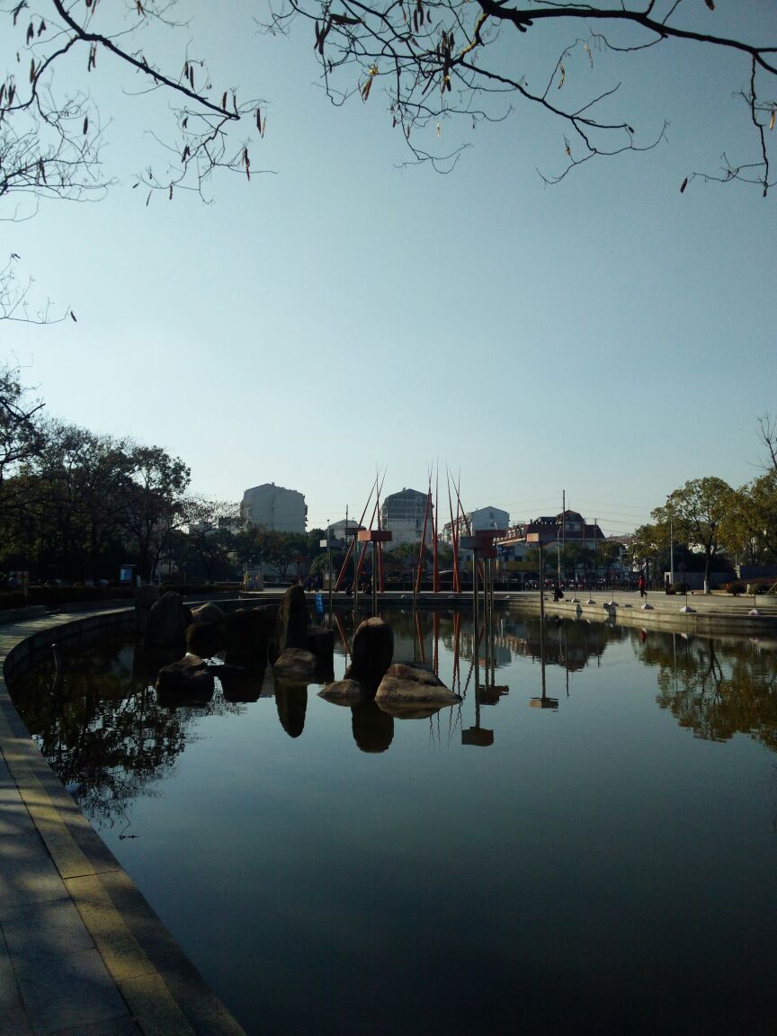 桐泾公园站 美景图片