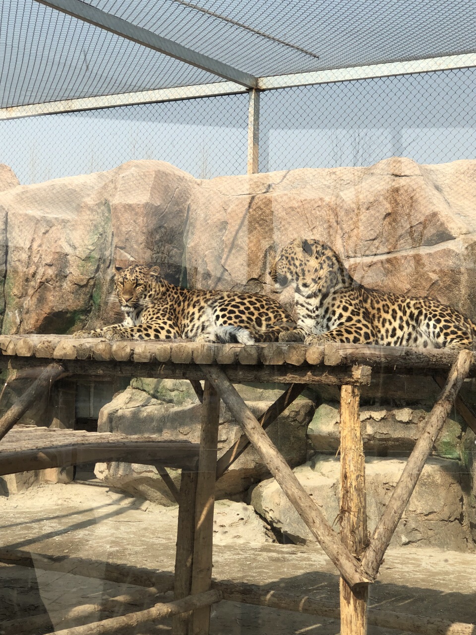 宿州野生動物園