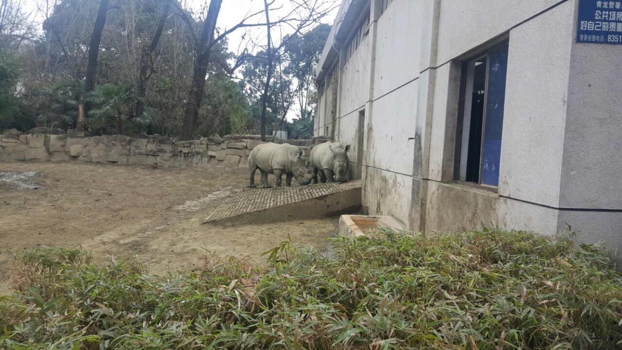 成都動物園