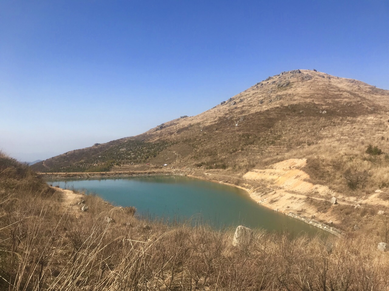 什么是SEO团队