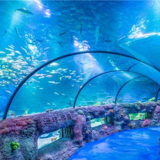 沈阳chi-k11艺术空间