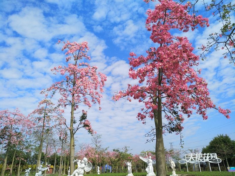 廣州花都香草世界遊玩攻略-花都香草世界門票多少錢/價格表-團購票價