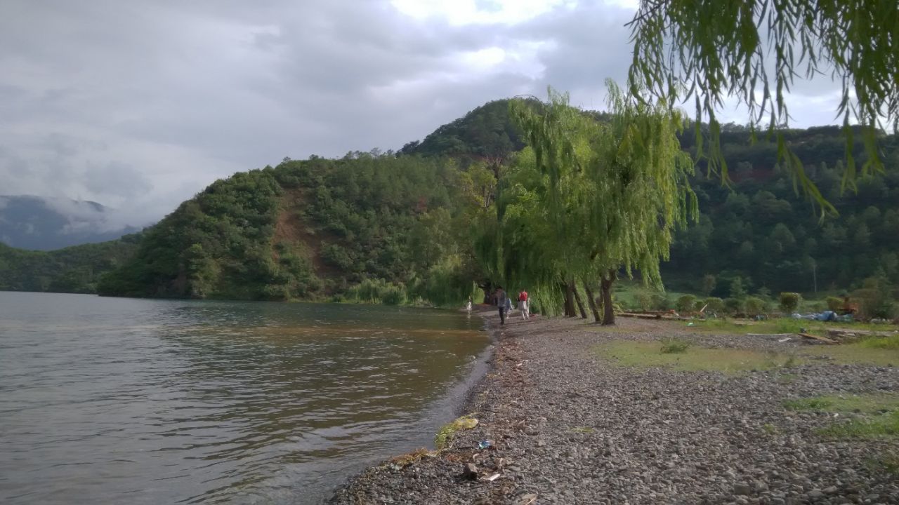 情人树位于尼赛村湖边有两棵一大一小的树因为有一个美丽的爱情传说