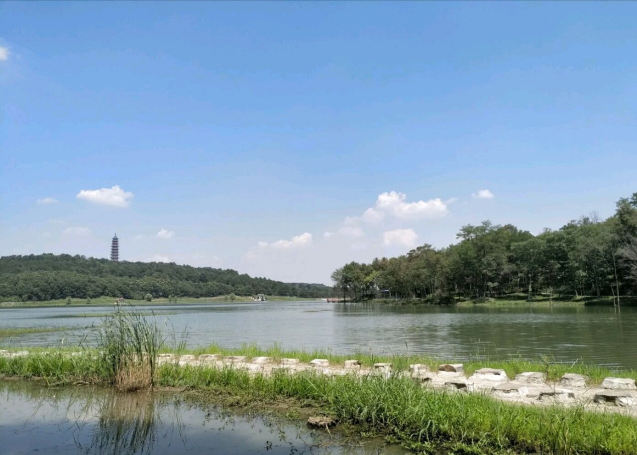 【攜程攻略】南京平山森林公園景點,平山森林公園確實是天然的養吧