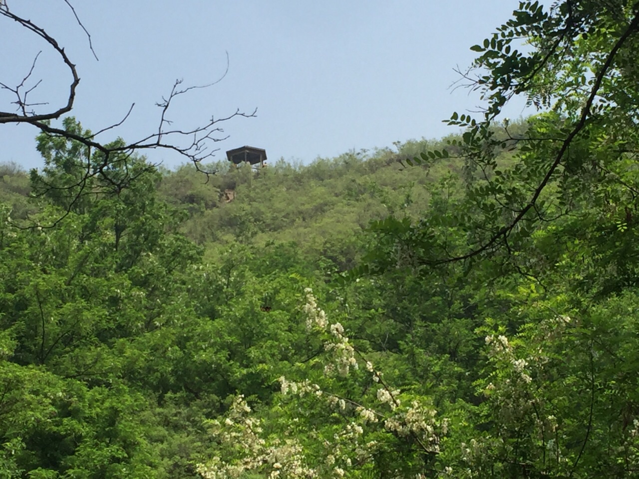 虎山風景區