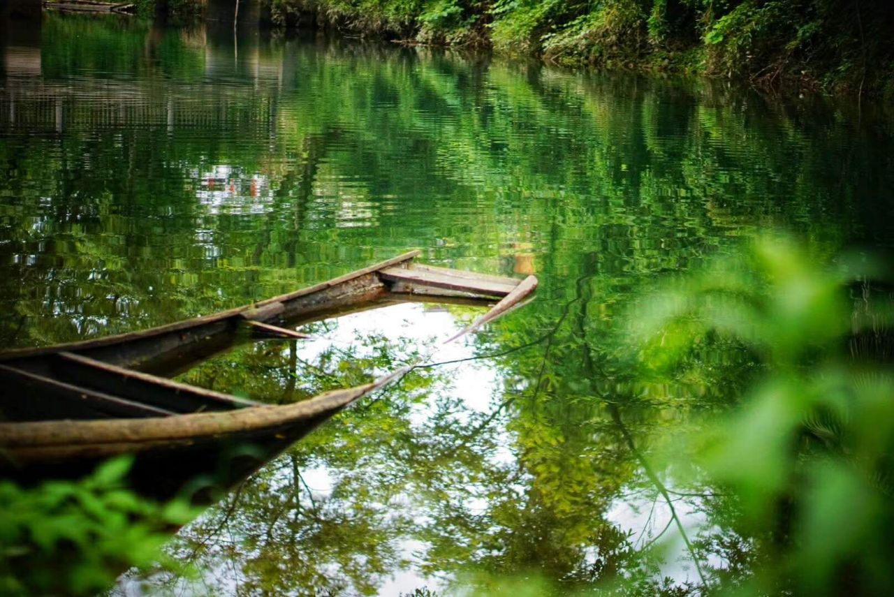 青龍灣生態旅遊區