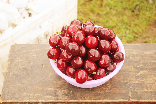 彩虹歌∣九顶山徒步二日行记