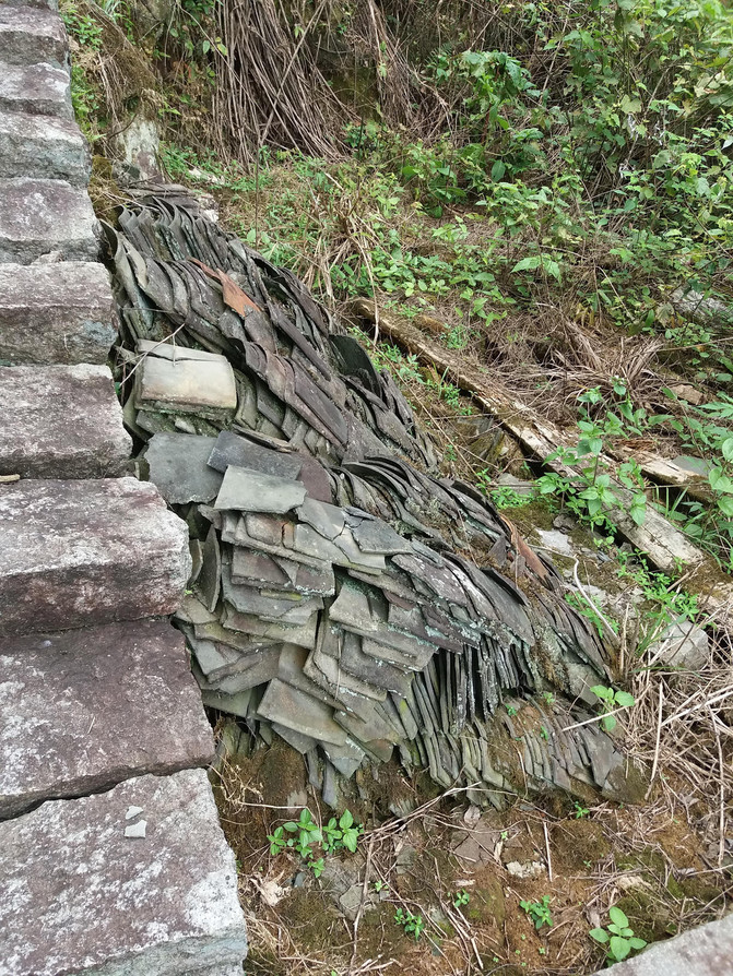 踏虎村人口_人口普查(3)