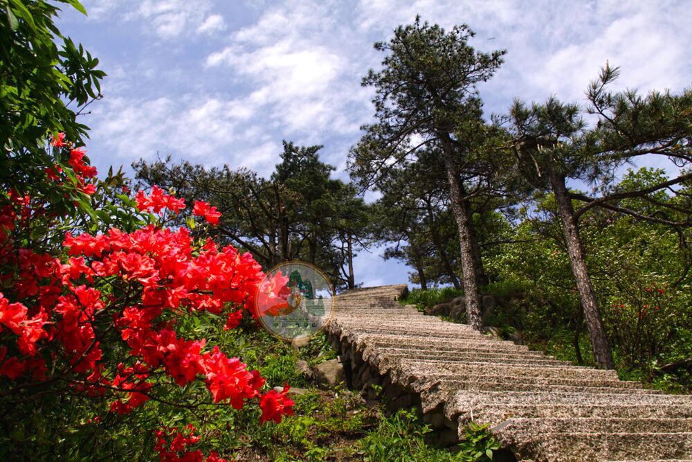 花台景区是九华山核心景区之一,更是九华山国家森林公园,地质公园的