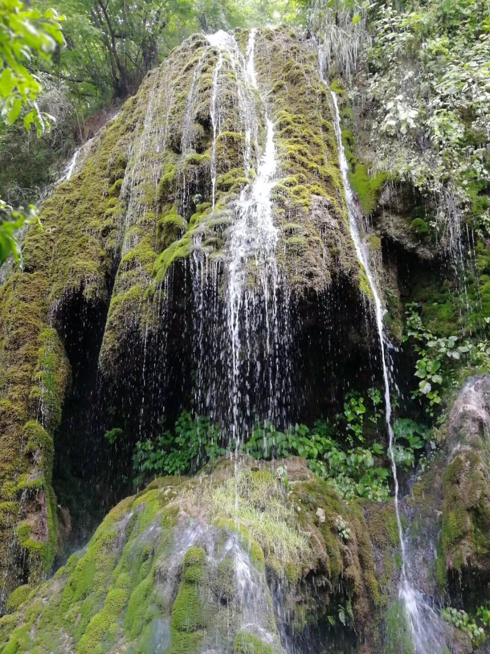 重渡沟景区内竹茂林密,风景优美,空气质量不错,整个景区分南沟和西沟