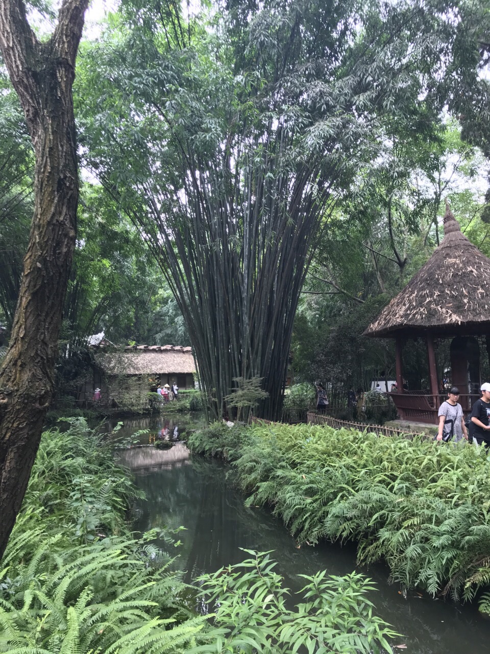 成都杜甫草堂好玩嗎,成都杜甫草堂景點怎麼樣_點評_評價【攜程攻略】