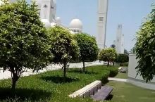 阿布扎比的谢赫.扎耶德大清真寺