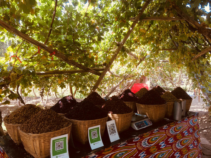 新疆行24天之北疆篇