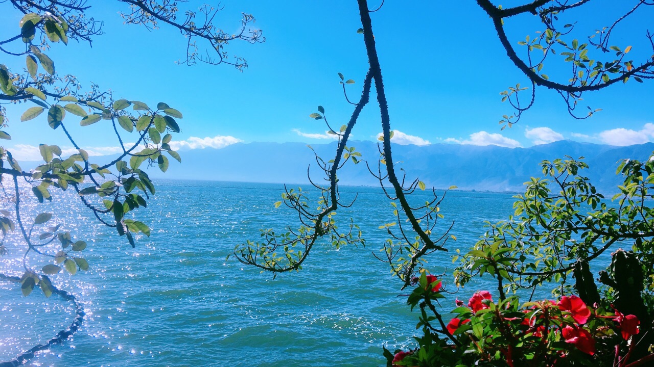 双廊旅游景点攻略图