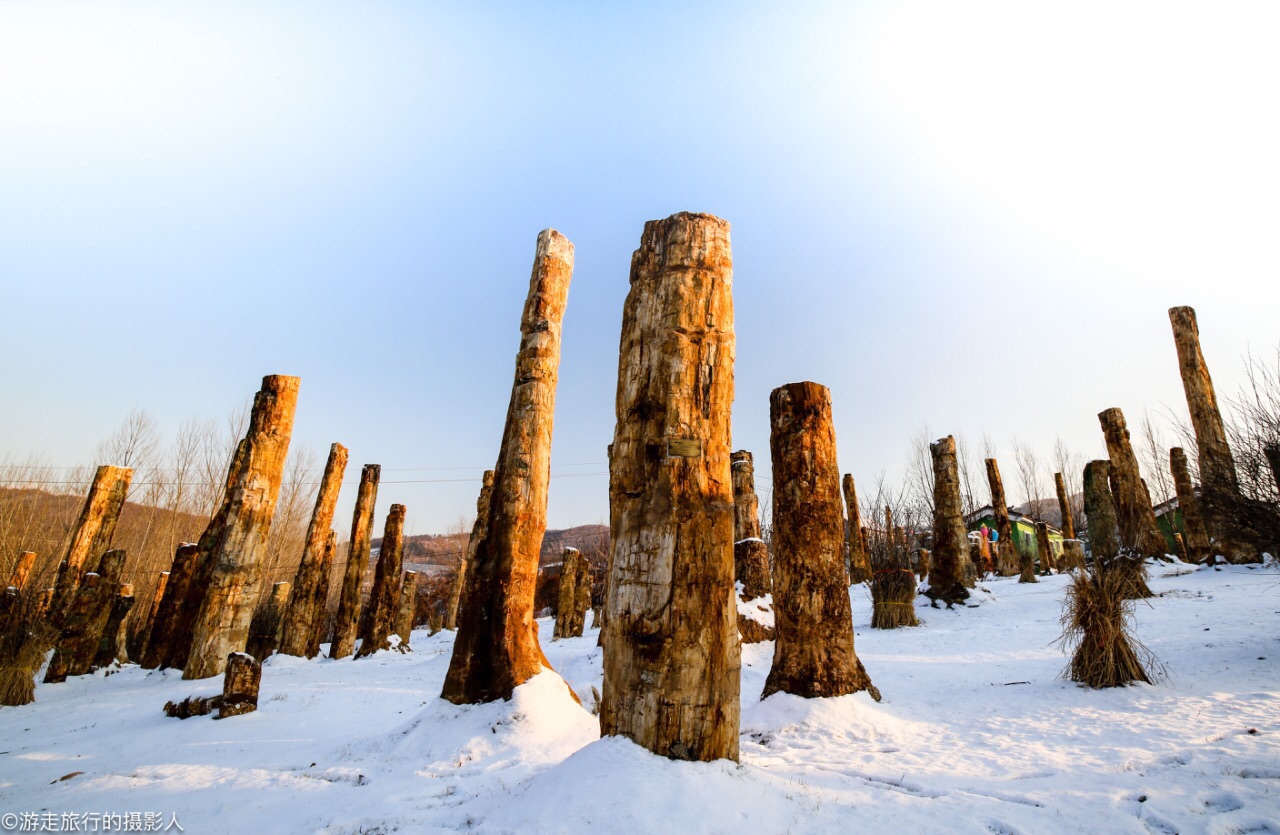 玉京山生态园-凉亭