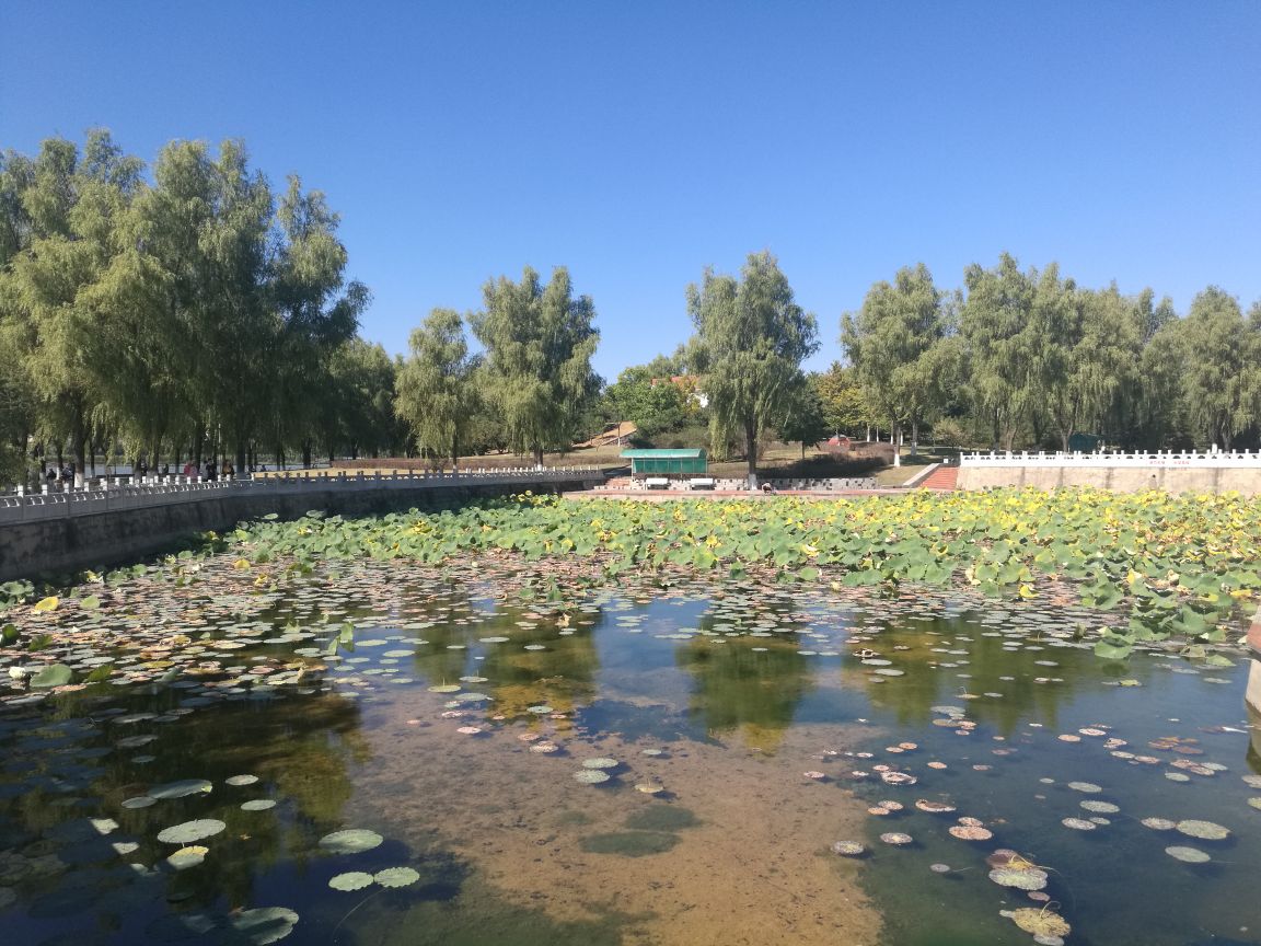 2019青龙湖公园_旅游攻略_门票_地址_游记点评,北京旅游景点推荐 去