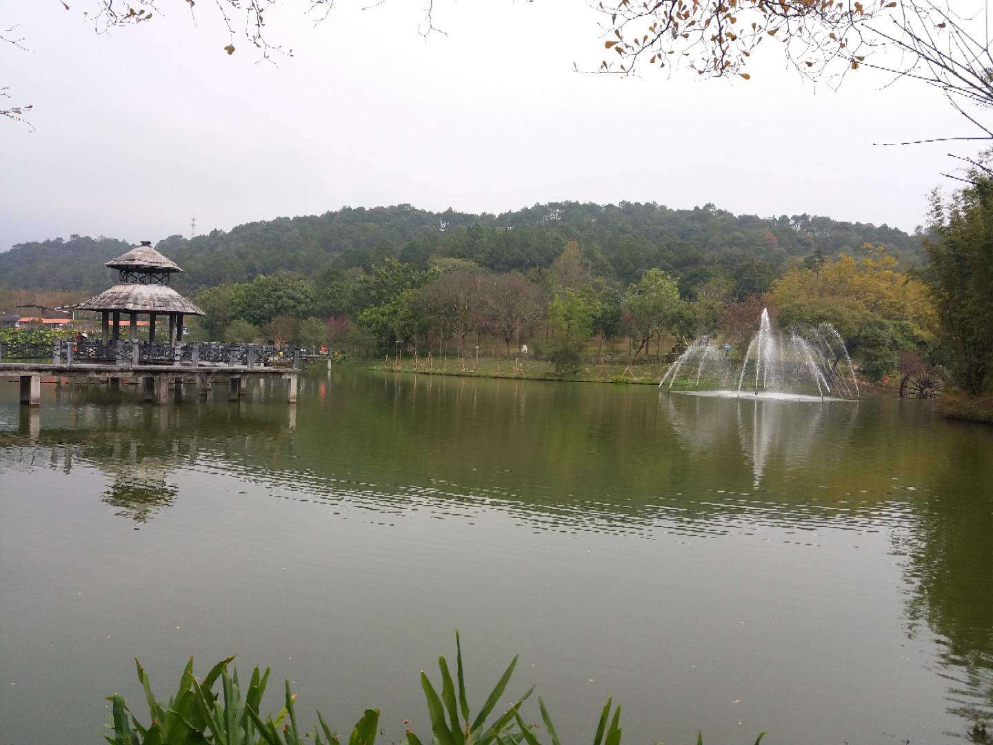 2019流花湖公园-旅游攻略-门票-地址-问答-游记点评，广州旅游旅游景点推荐-去哪儿攻略