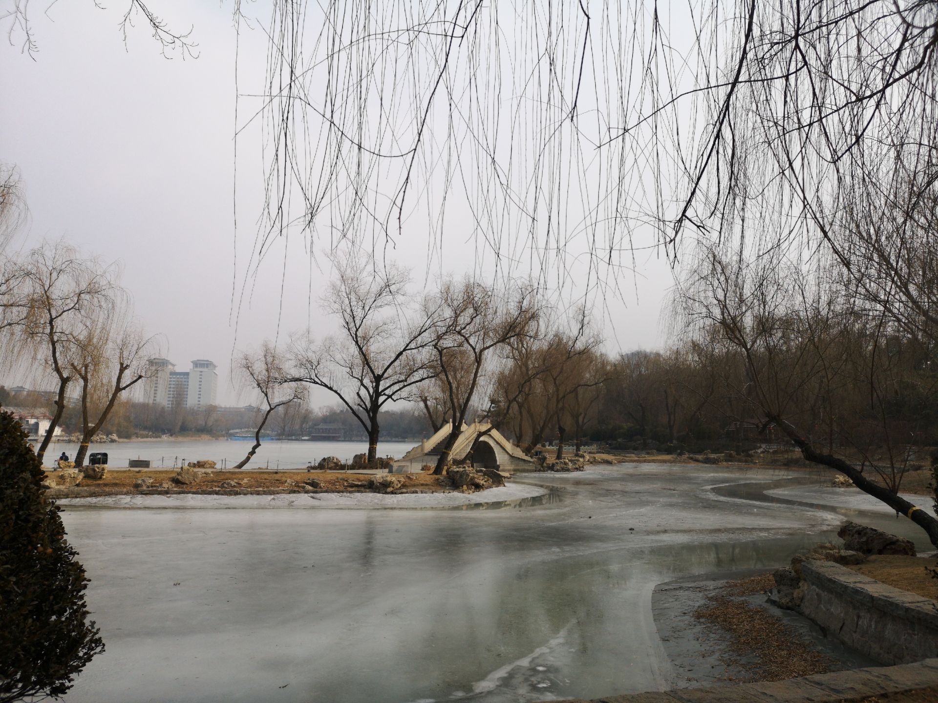被忽略的一处美景--紫竹院公园游记-北京旅游攻略-游记-去哪儿攻略