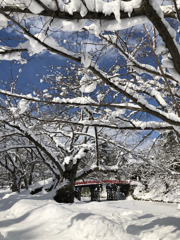 日本冬游玩雪好去处 青森县 青森县游记攻略 携程攻略