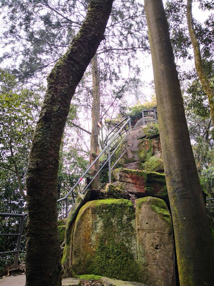 圣灯山森林公园