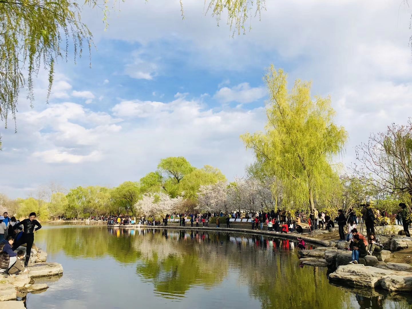 2019玉淵潭公園_旅遊攻略_門票_地址_遊記點評,北京旅遊景點推薦 - 去