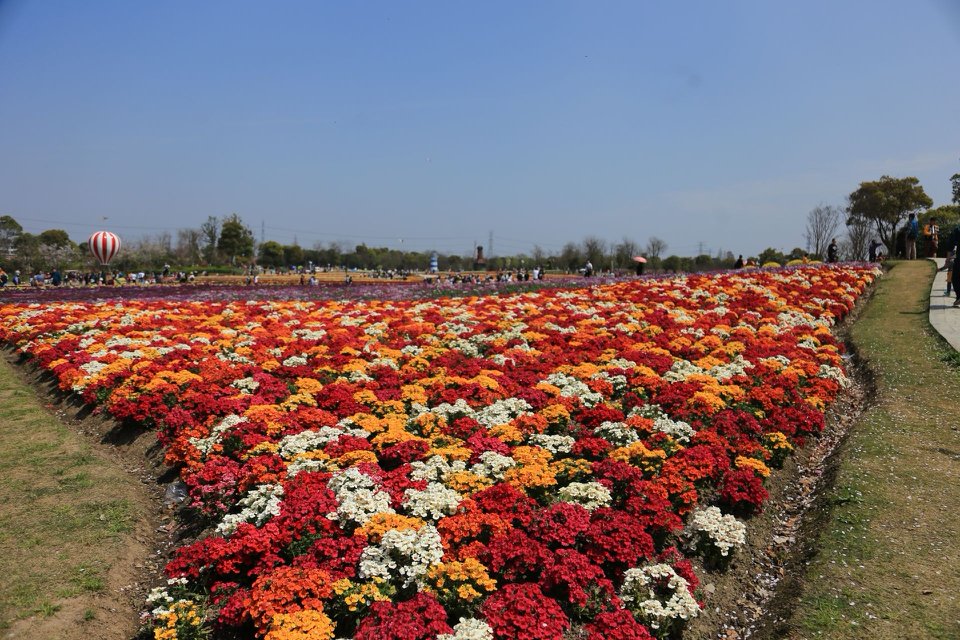 上海周浦花海好玩嗎,上海周浦花海景點怎麼樣_點評_評價【攜程攻略】