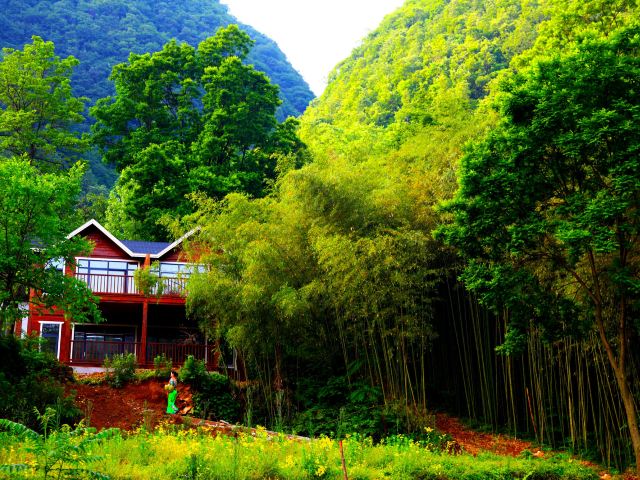 王府竹海度假旅游区