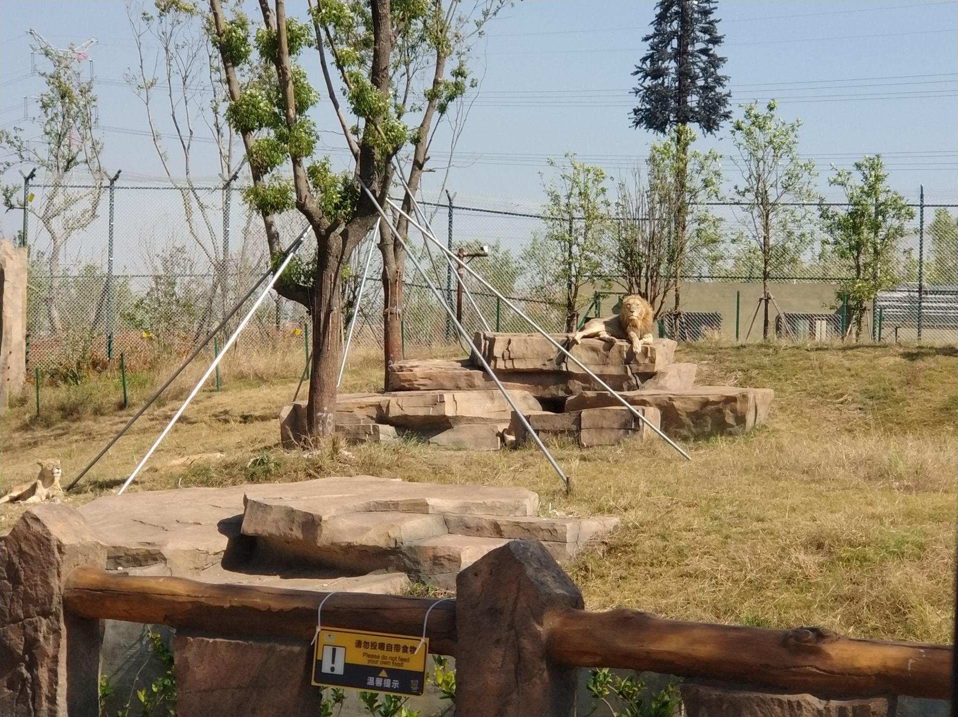 南通森林野生動物園