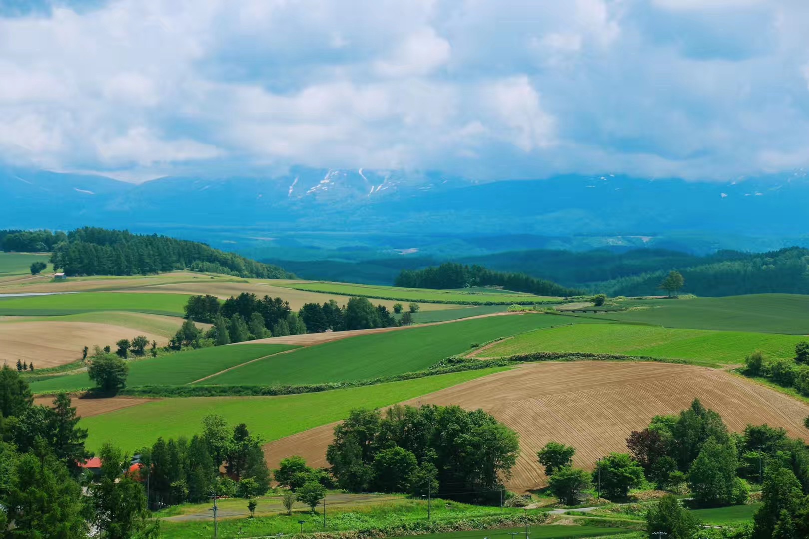 富田农场旅游景点攻略图