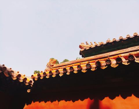 100j16000000z081f950F_C_480_375.jpg