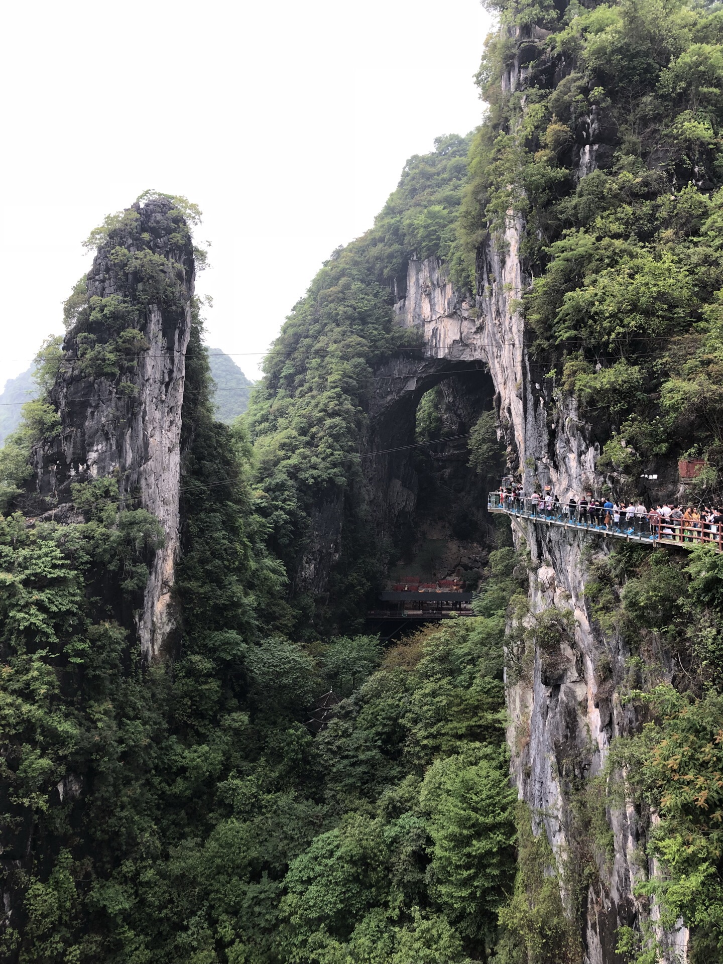 仙湖景区_360百科