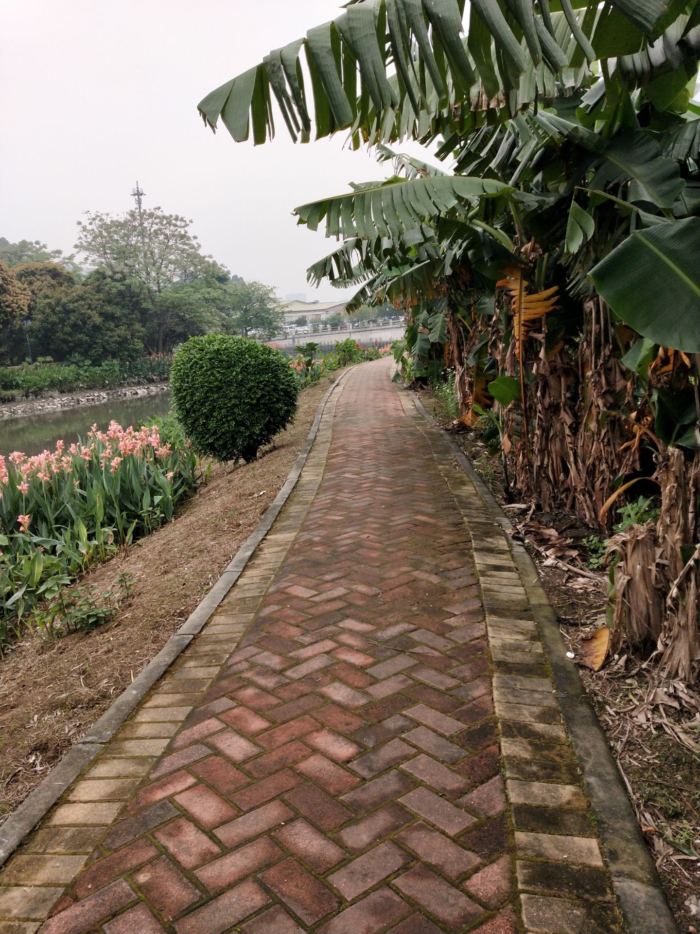 廣州上湧果樹公園好玩嗎,廣州上湧果樹公園景點怎麼樣_點評_評價【攜