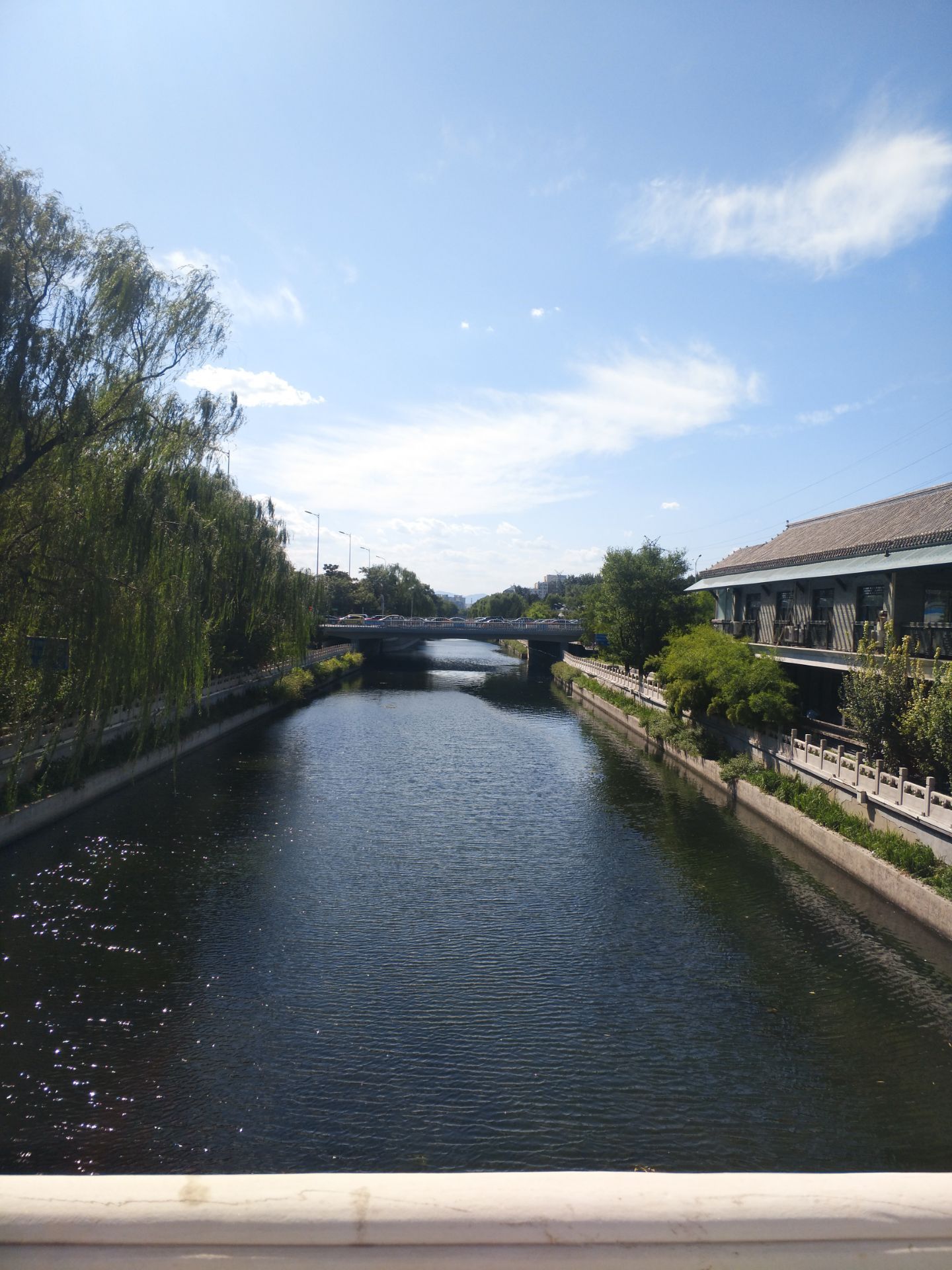 2021北滨河公园游玩攻略,是原来的奇石馆.公园门口无. 【去哪儿攻略】