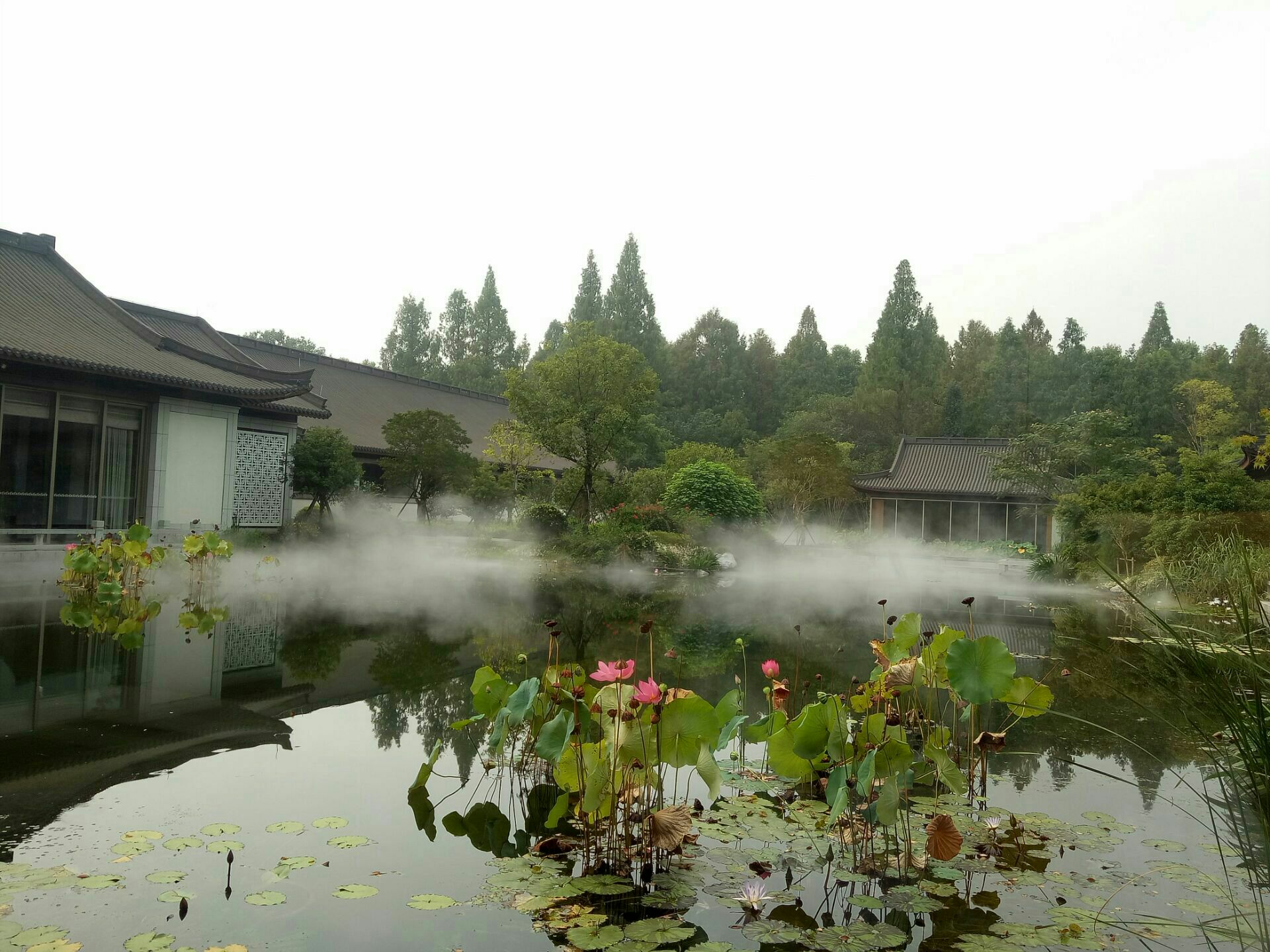 西湖國賓館·紫薇廳