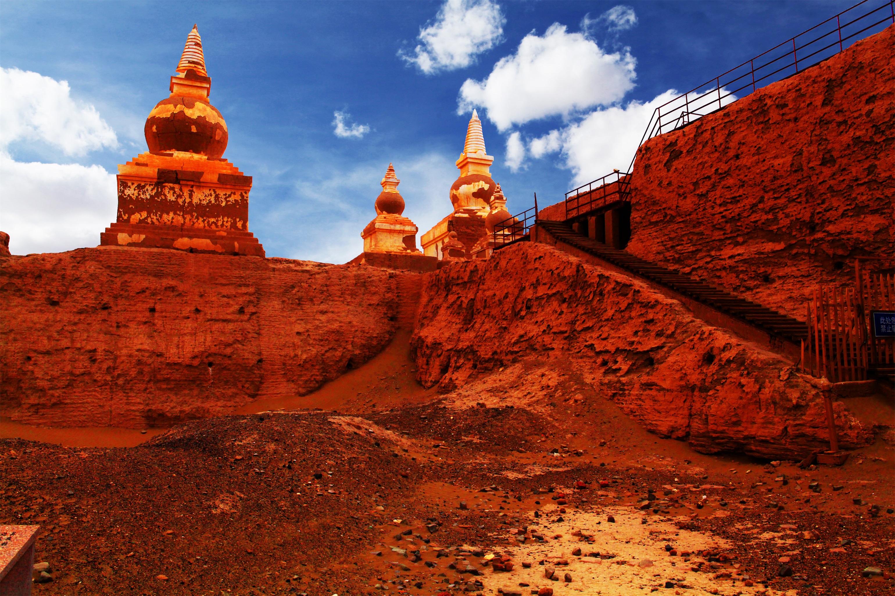 黑城弱水胡杨林景区