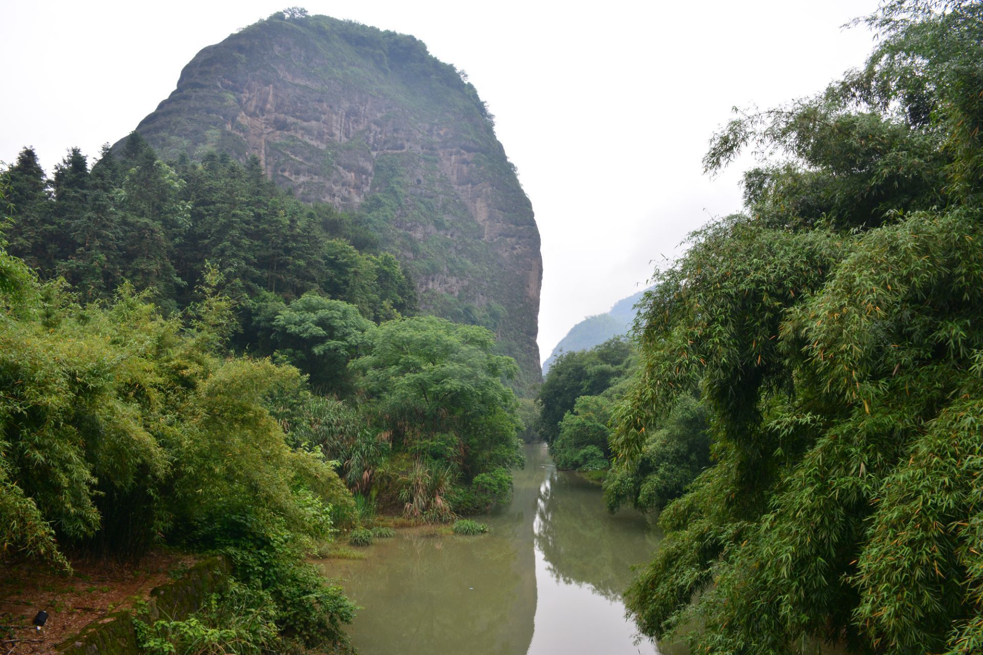 2019龙虎山自然保护区-旅游攻略-门票-地址-问答-游记点评，隆安旅游旅游景点推荐-去哪儿攻略