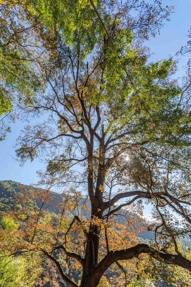古筝高山流山曲谱(3)