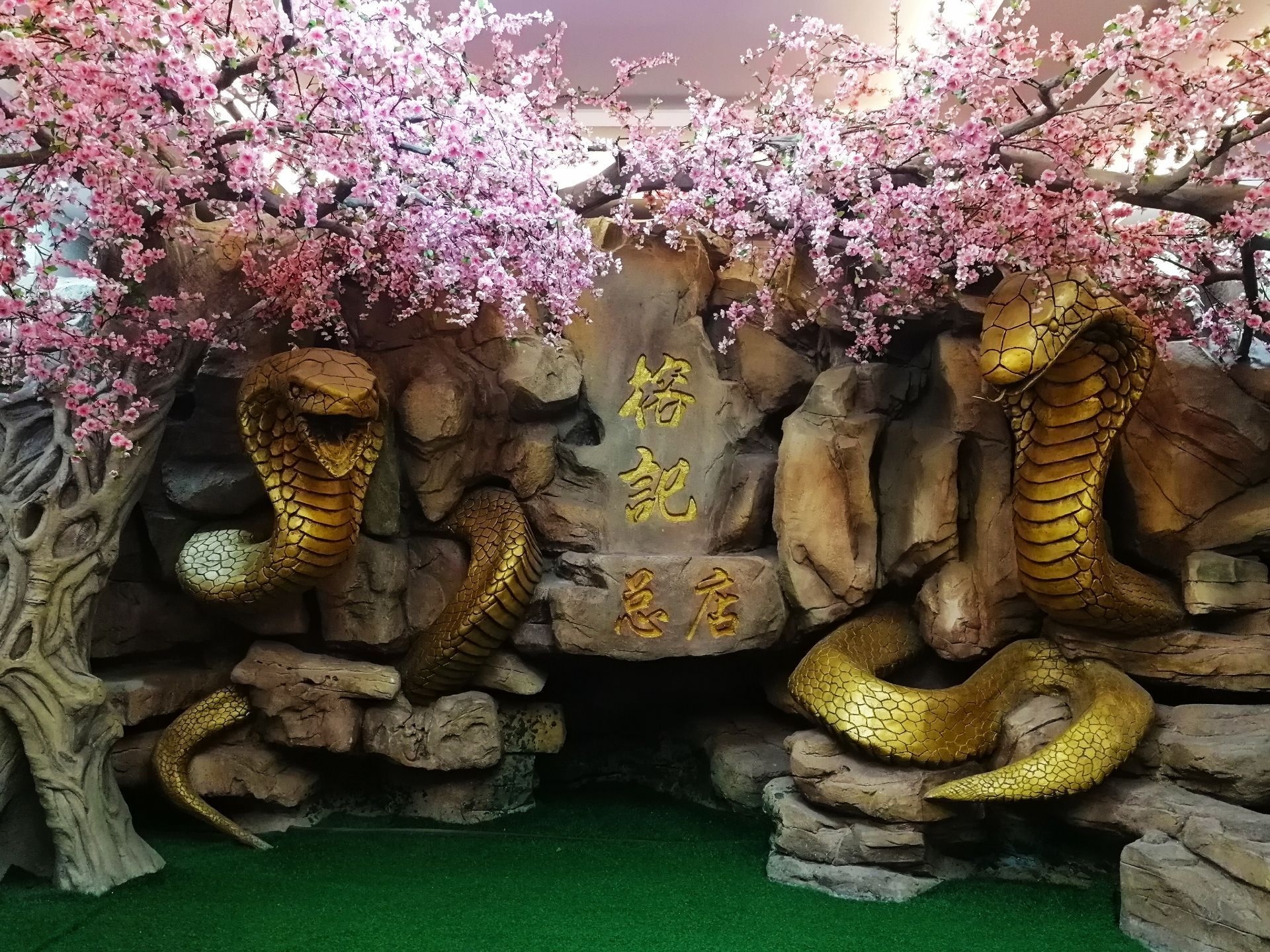 榕记·专注蛇宴(番禺总店)-旅游攻略-门票-地址-问答-游记点评,广州