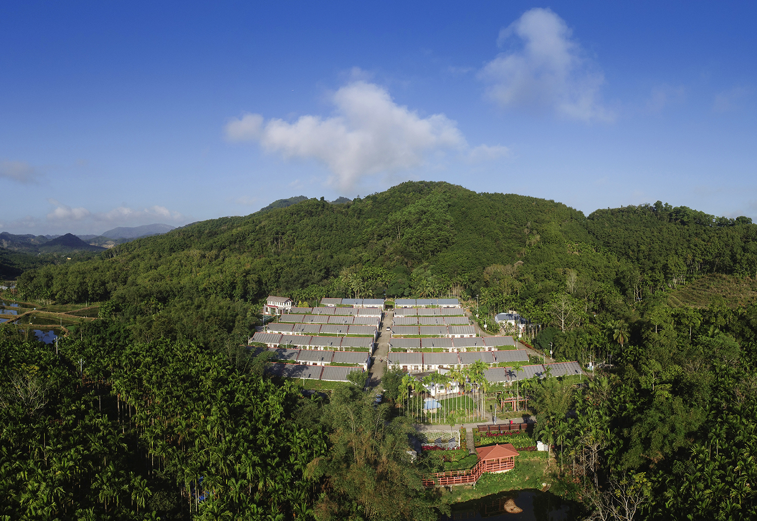 海南有个让"城里人羡慕"的文明生态村-琼中大边村