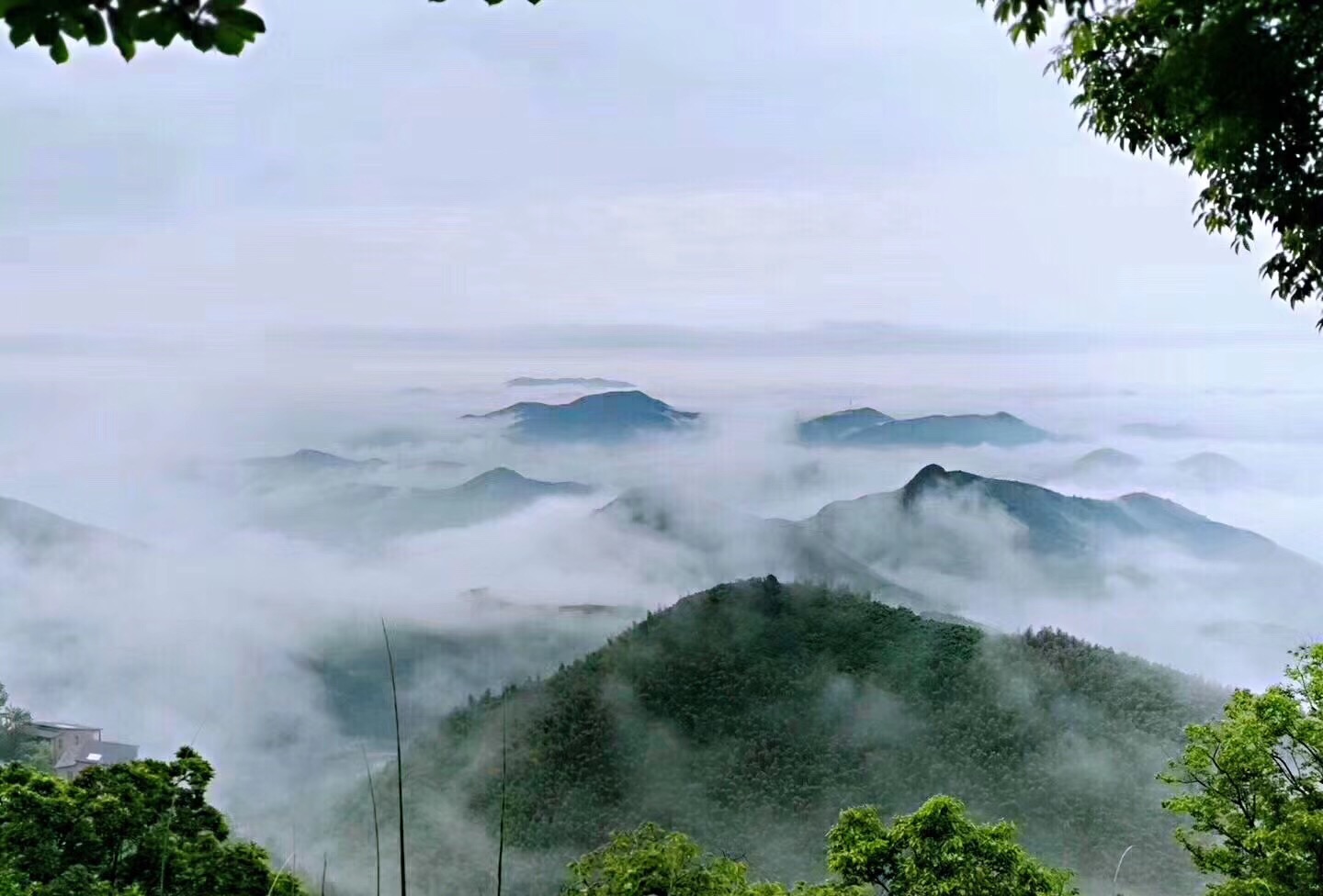 莫干山大坑景区攻略,莫干山大坑景区门票/游玩攻略/地址/图片/门票价格【携程攻略】