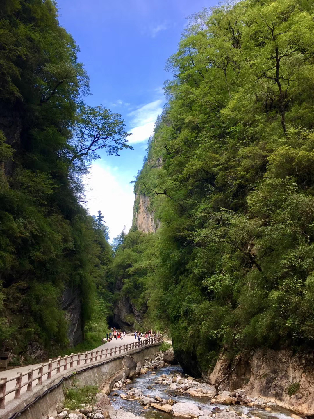 2020官鹅沟-旅游攻略-门票-地址-问答-游记点评，宕昌旅游旅游景点推荐-去哪儿攻略